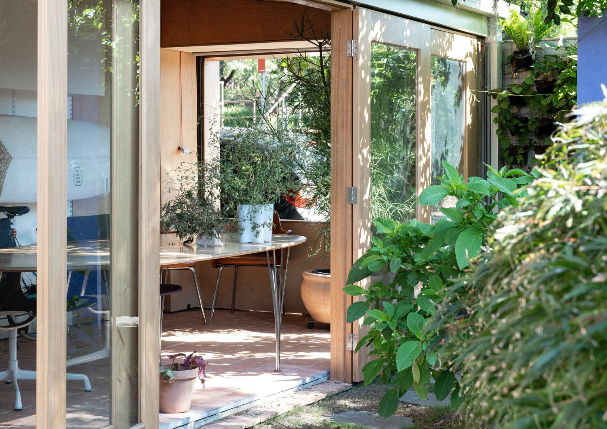 Timber-framed glazed living space at House in the Park by STUDIOLIVE opening directly into dense garden planting.