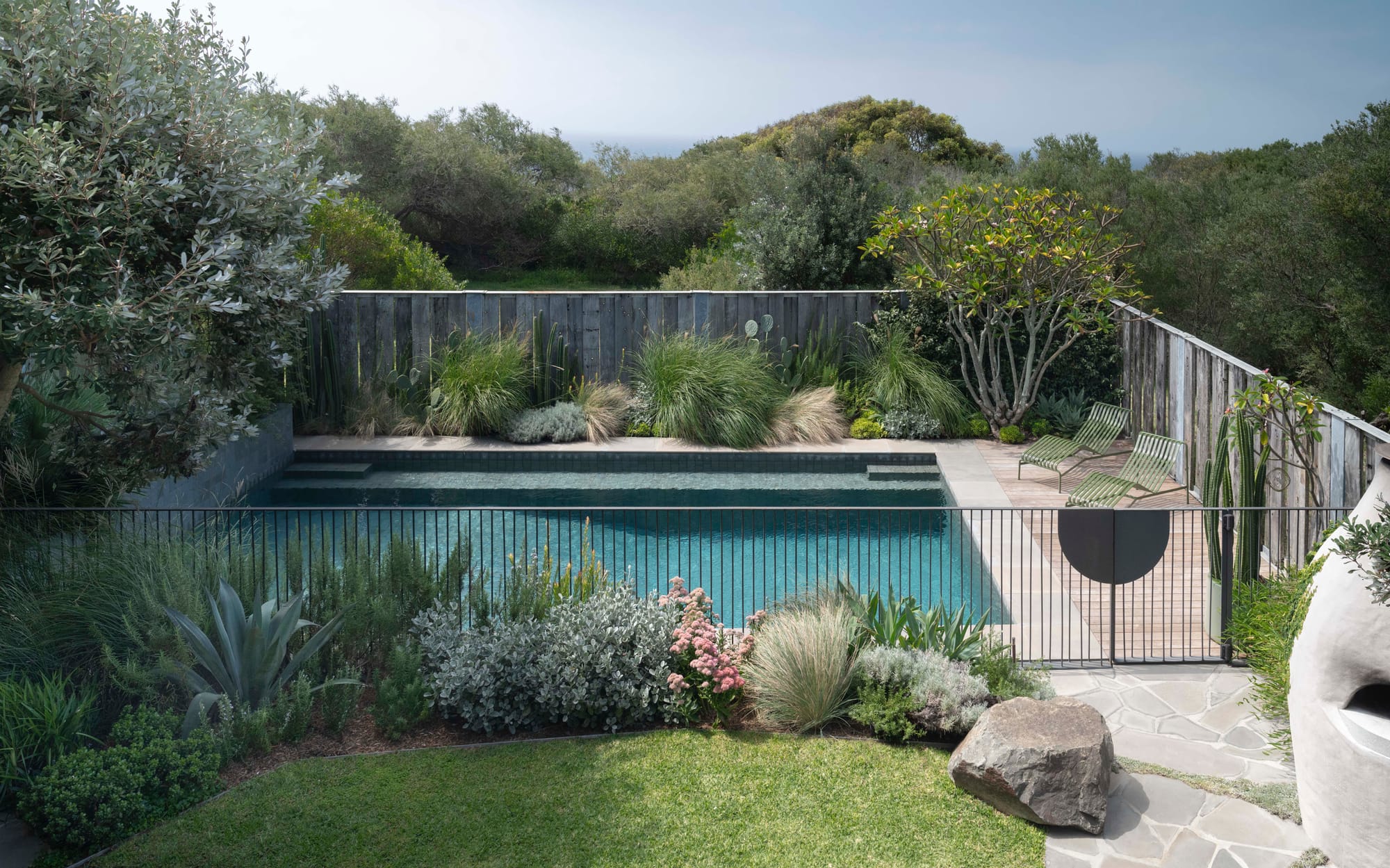 Elevated backyard pool with grey timber decking, native grasses, cacti and succulents, framed by a weathered timber fence and coastal bushland beyond.