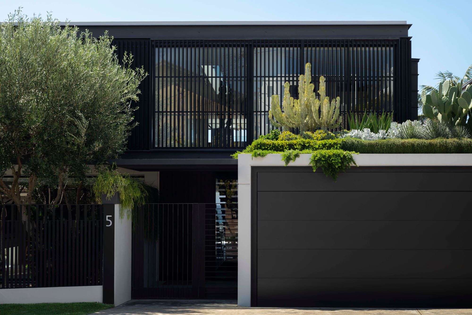 Contemporary black timber house with vertical slat screening, a green roof garden of cacti and succulents, and an olive tree at the entrance.