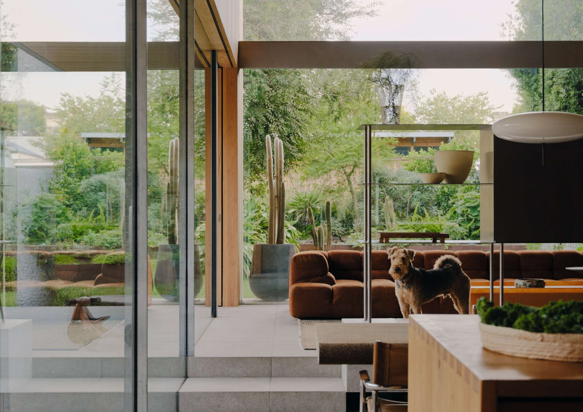 Garden-facing living room at Harvest House by Cera Stribley with full-height glazing, timber detailing, built-in seating and a dog standing inside.