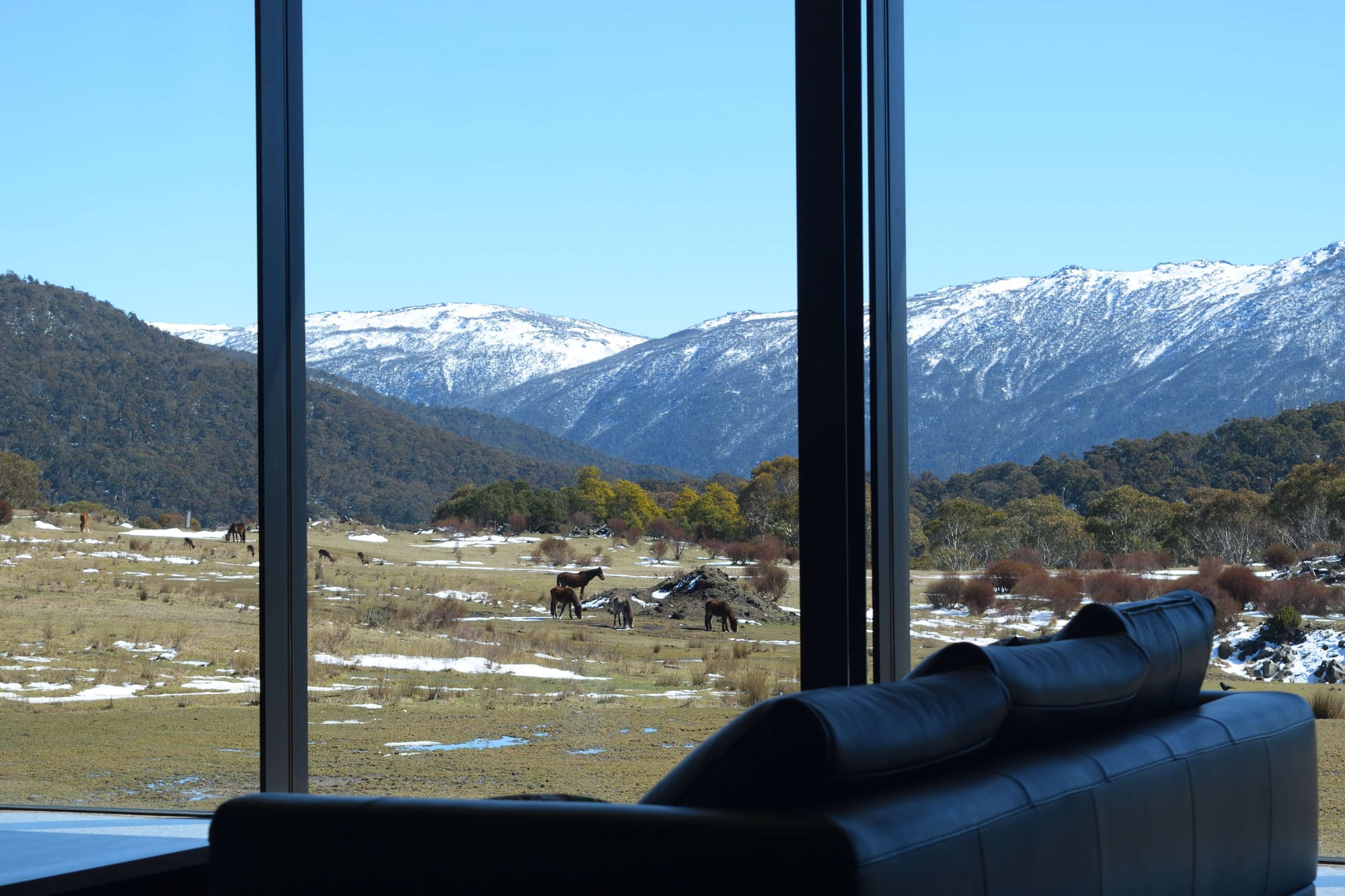 View from inside a living room through floor-to-ceiling windows towards a snow-covered mountain range and grazing horses.