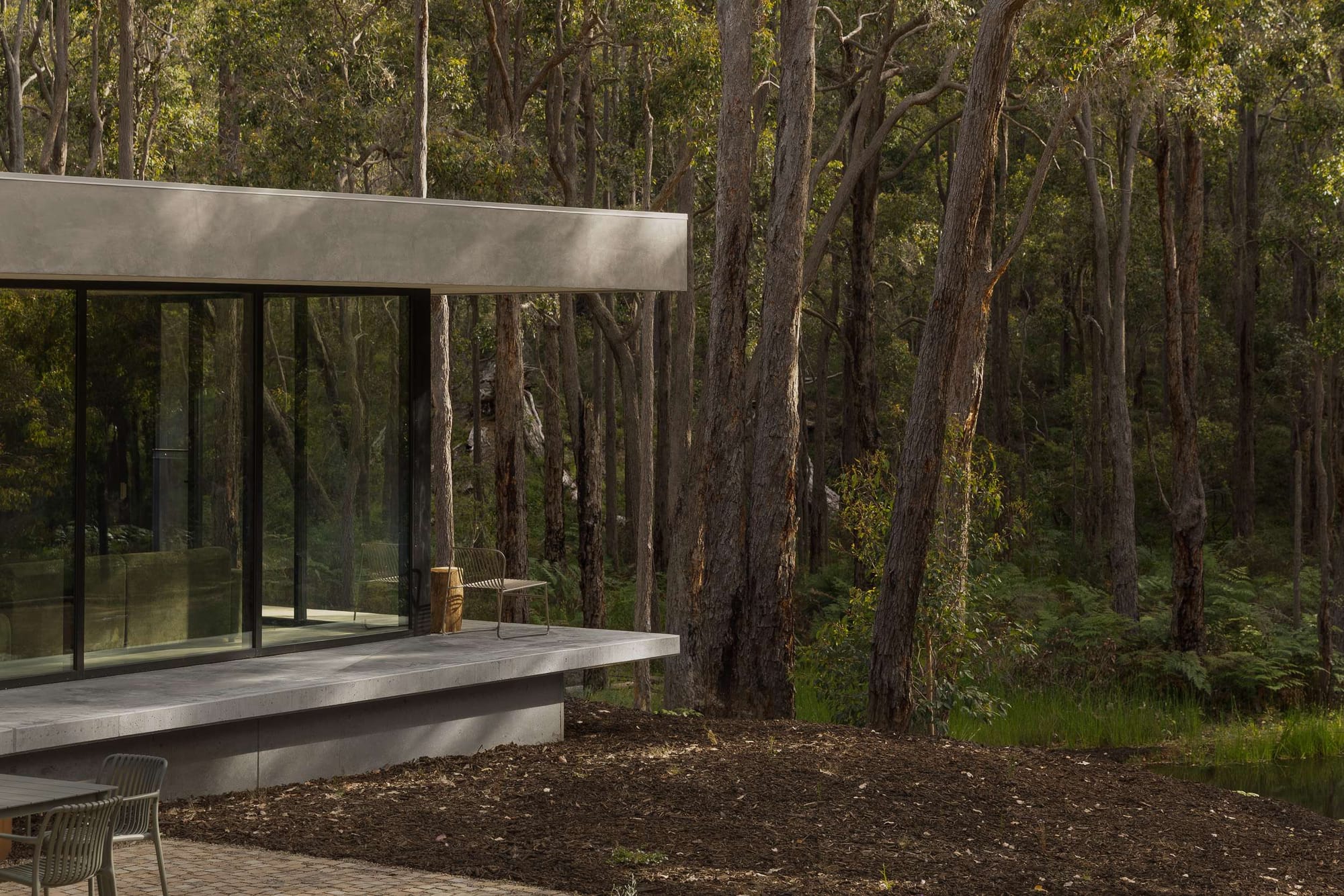 Contemporary concrete and glass home set among dense Australian bushland, with a raised terrace overlooking surrounding trees.