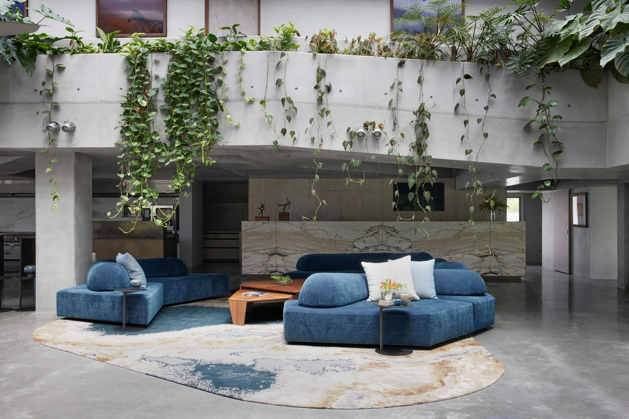Double-height living space with blue modular sofas, timber coffee tables and trailing plants cascading over an exposed concrete mezzanine.