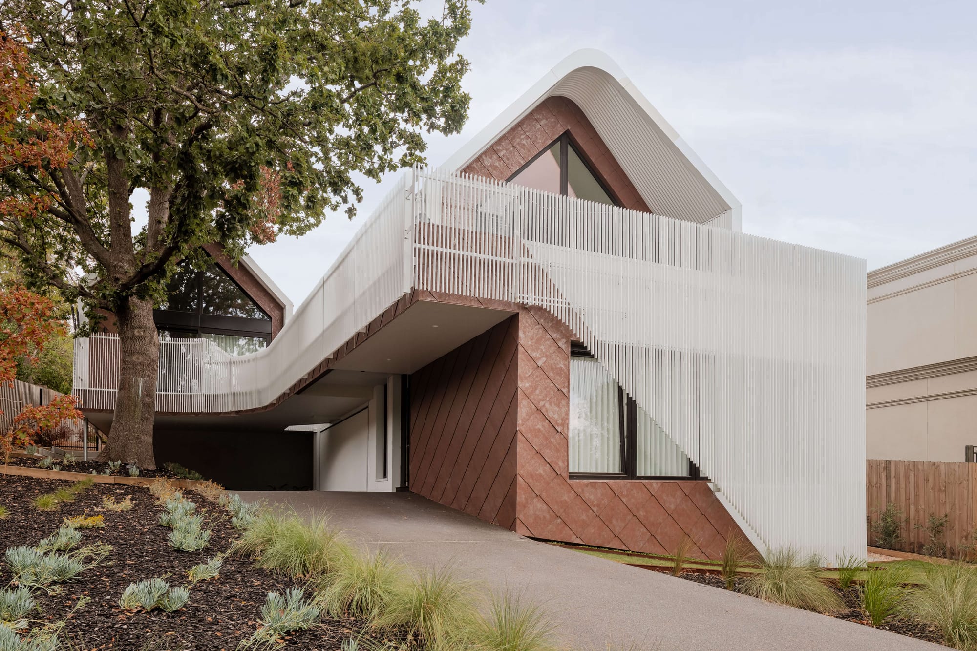 Sculptural two-storey home with curved white roof edges, vertical white screening and reddish diagonal cladding beside a mature tree.