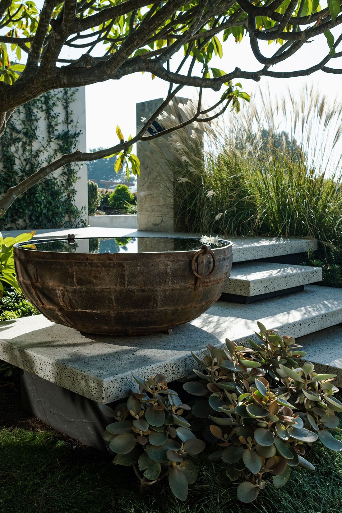 Landscape shot of a Tim Davies Landscaping project including a water feature