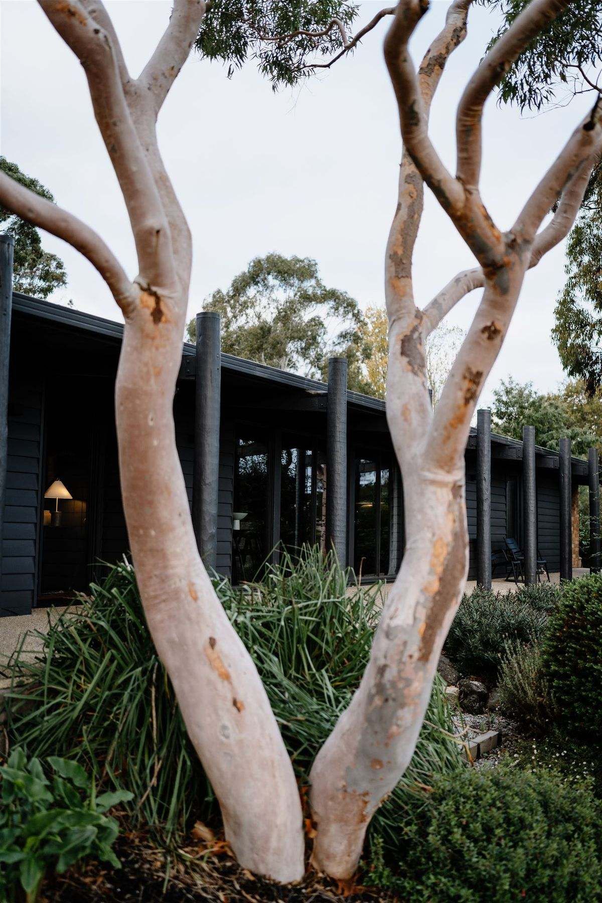 Jumoku Daylesford. Showing exterior of the house with black cladding and a native Australian garden