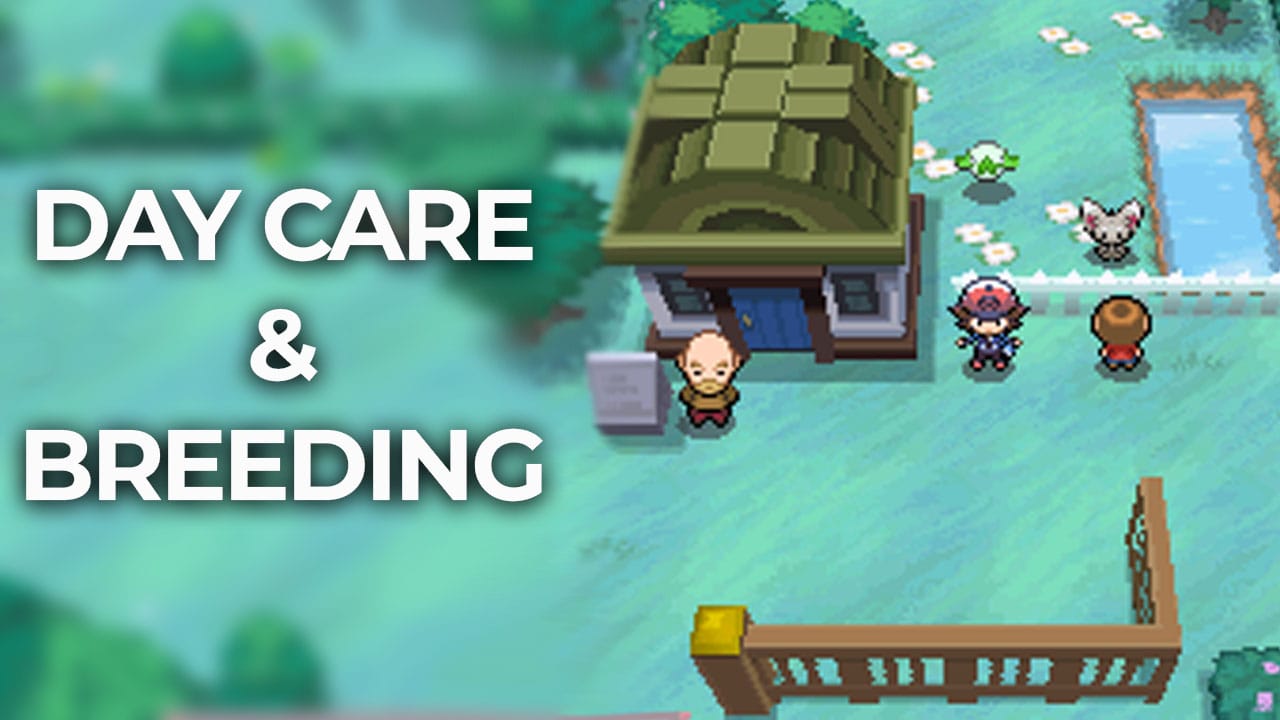 Day care and breeding cheats