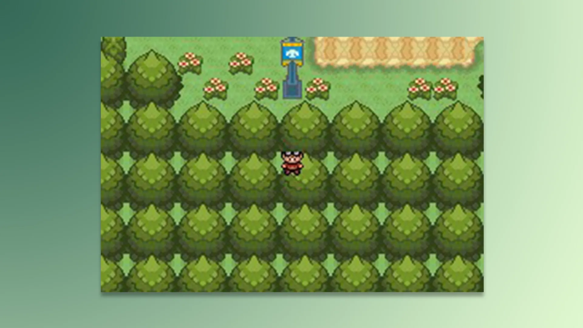 Pokémon Blazed Glazed Walk Through Walls