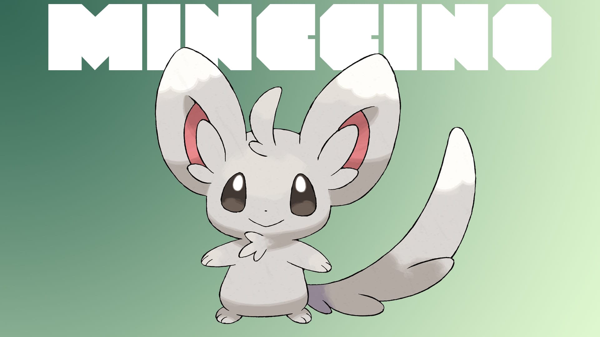 Minccino