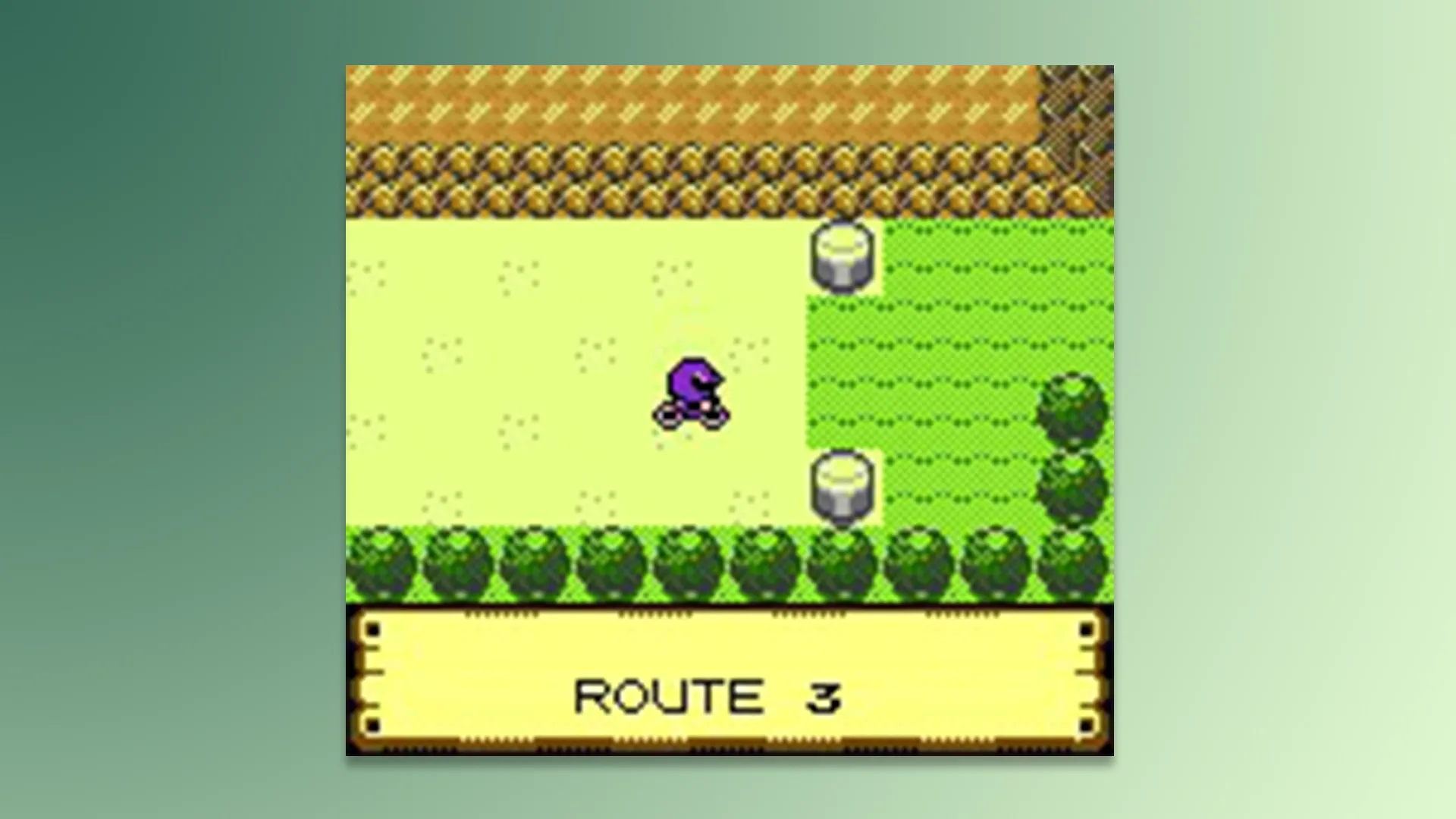 Pokemon Crystal Clear Bike
