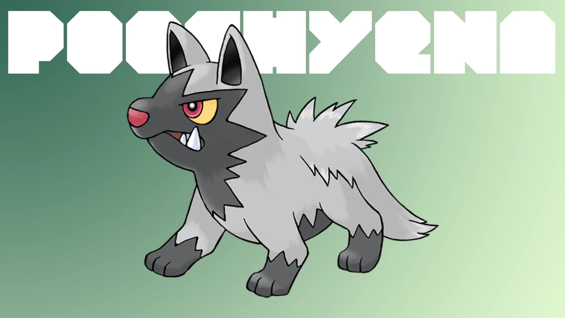 poochyena