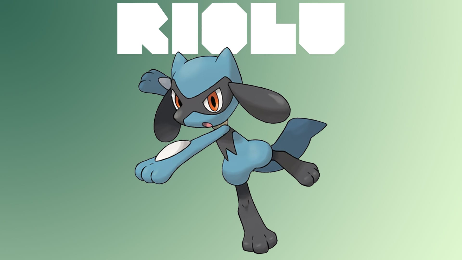 Riolu