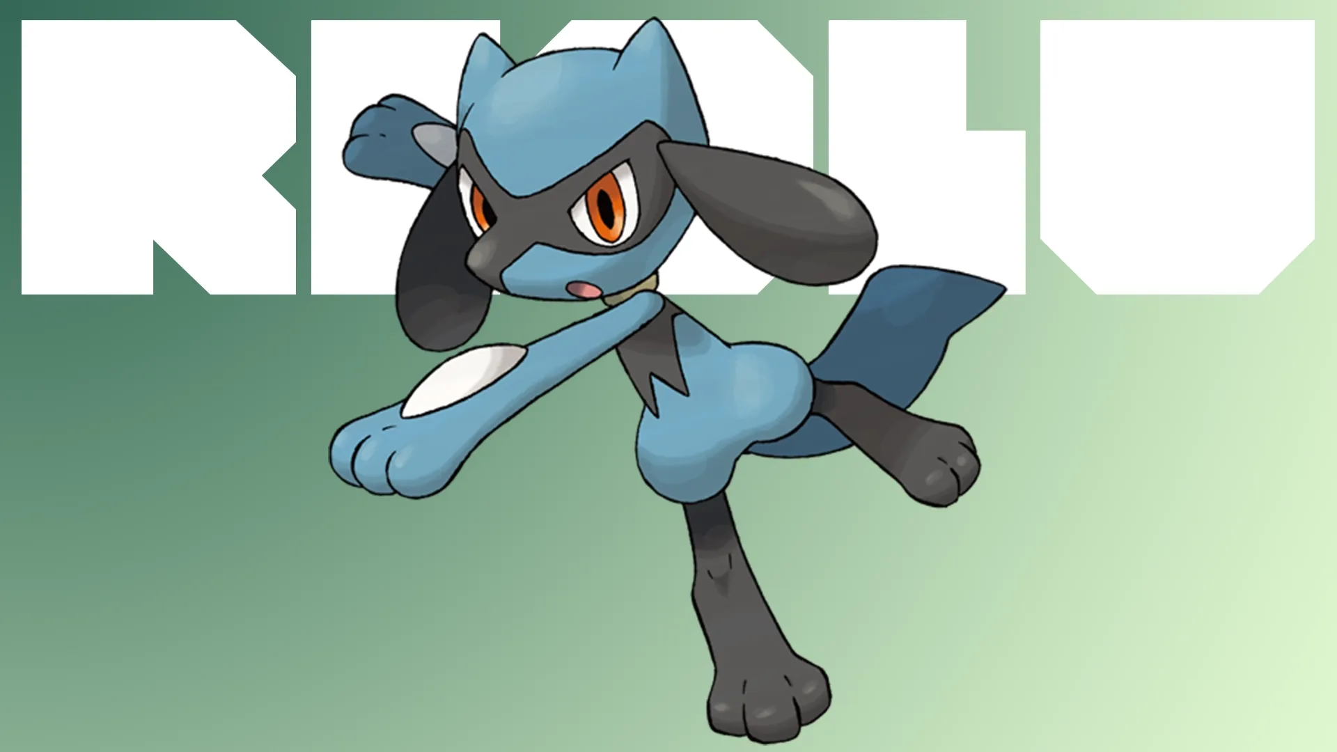 riolu