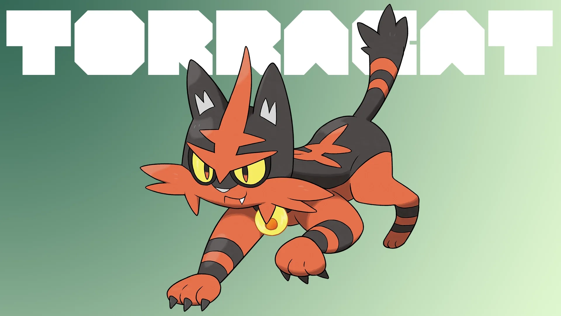 Torracat