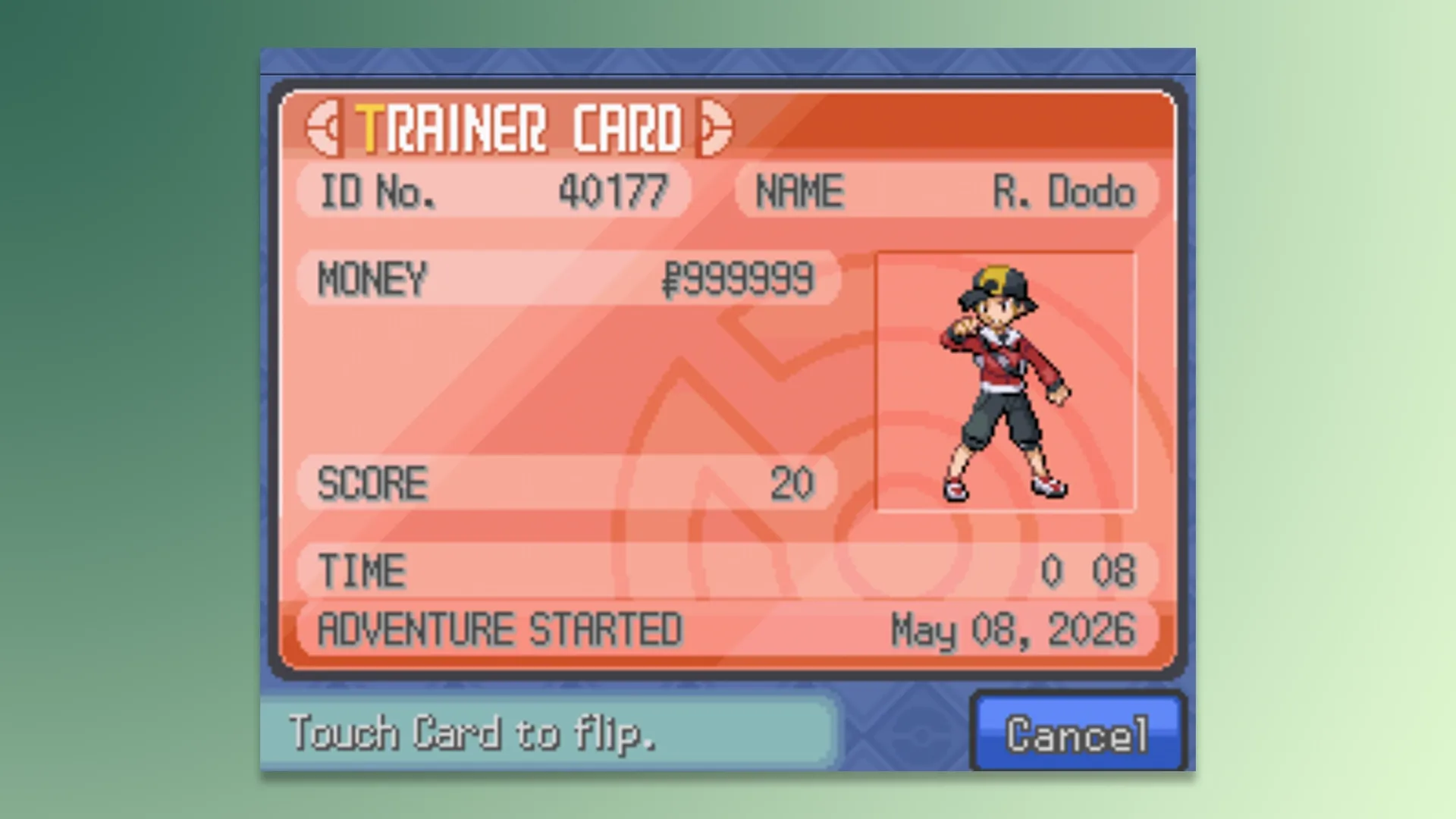 Pokémon Sacred Gold Soul Silver Max Money