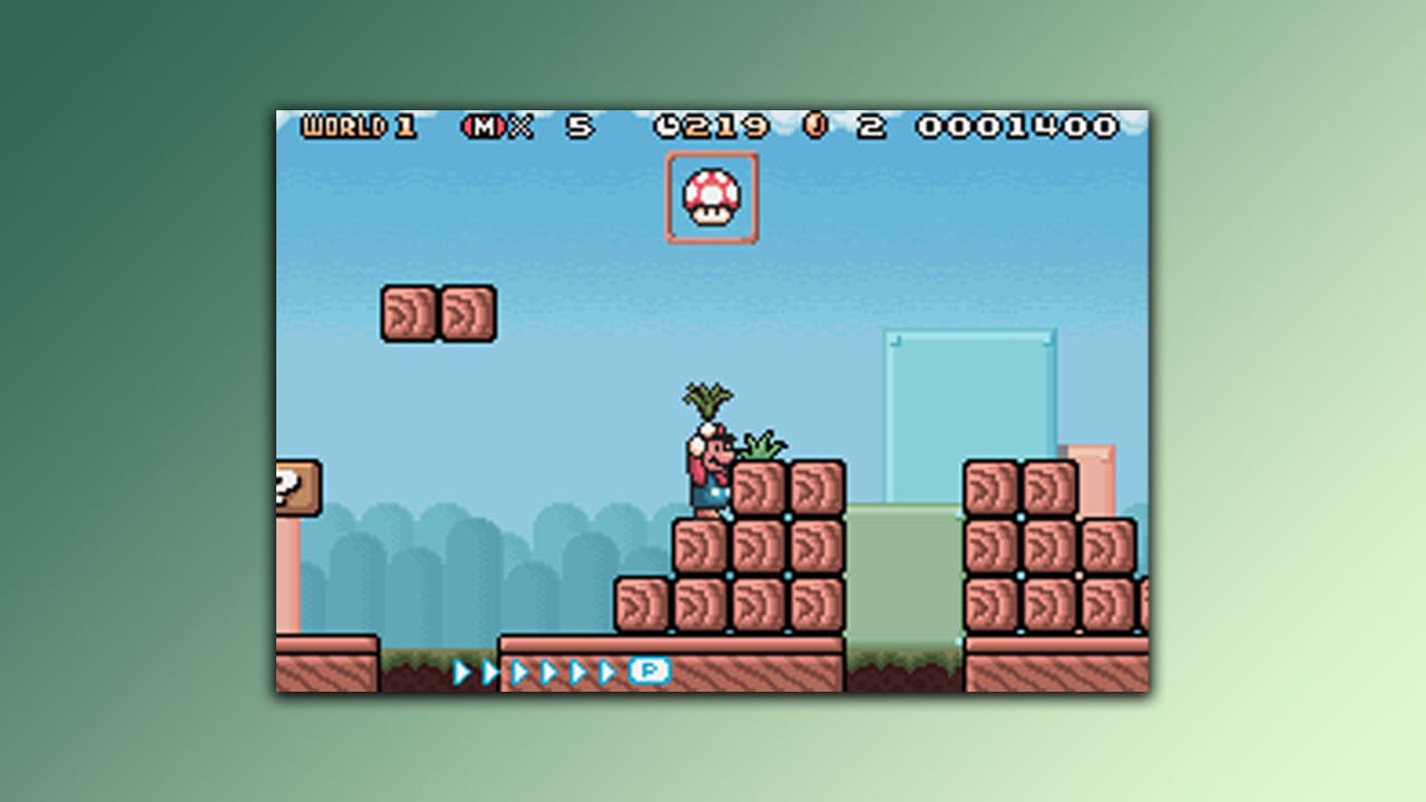 Super Mario Advance 4 gameplay