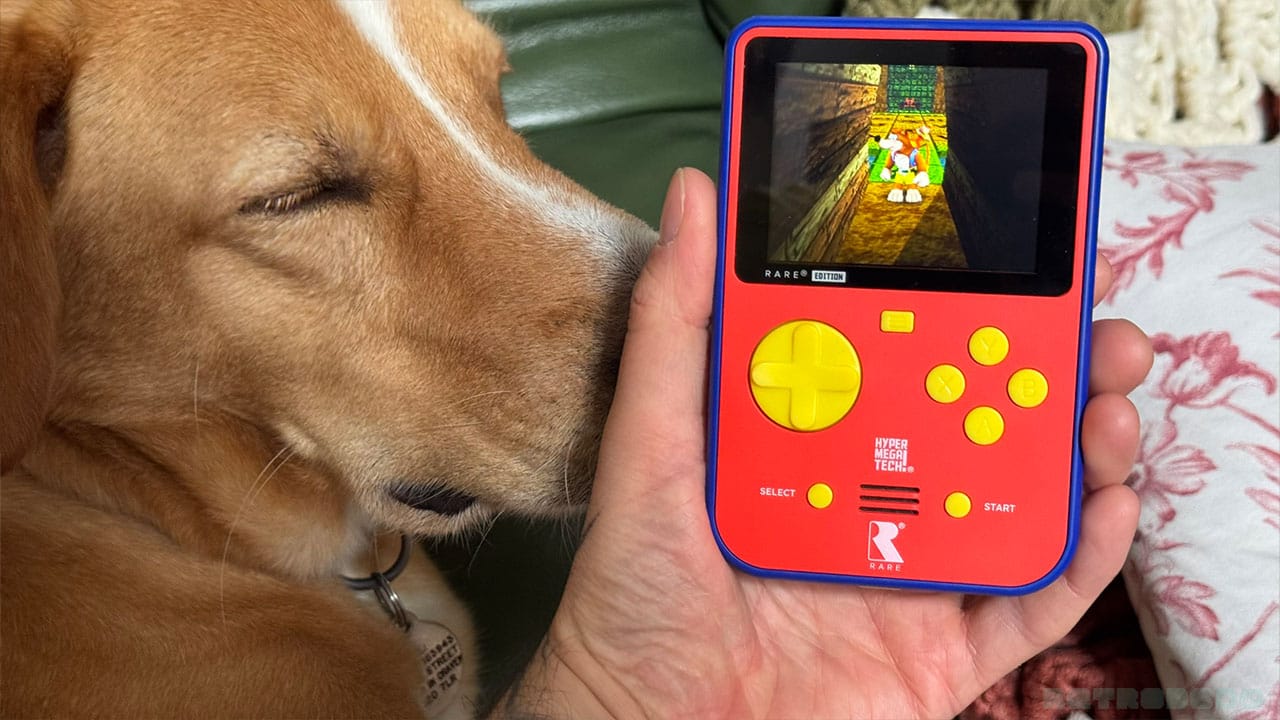 Super Pocket next to Seb's dog Bilbo