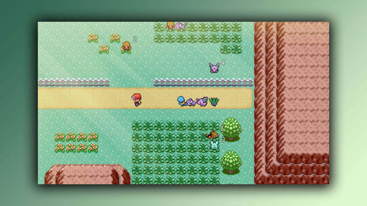 Pokémon following a trainer