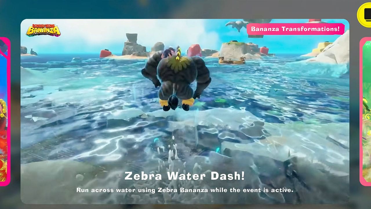 Zebra Water Dash
