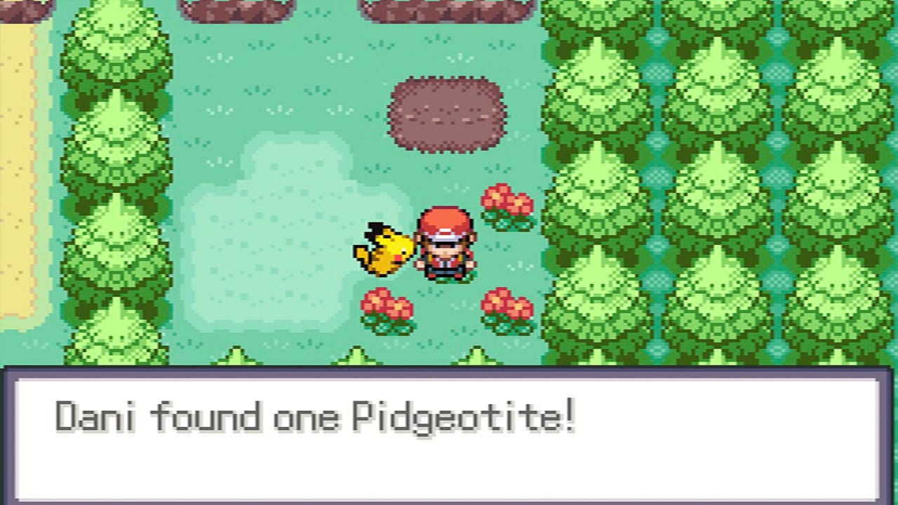 Finding Pidgeotite