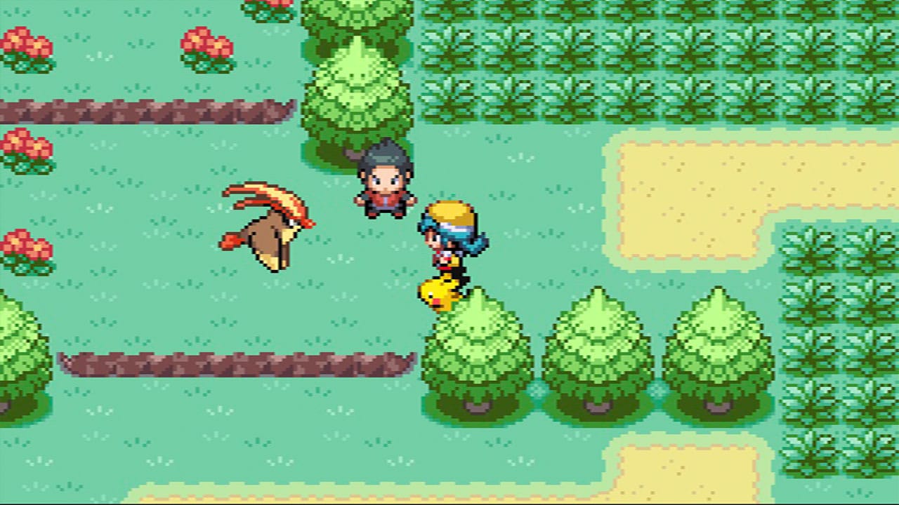 A wild Pidgeotto