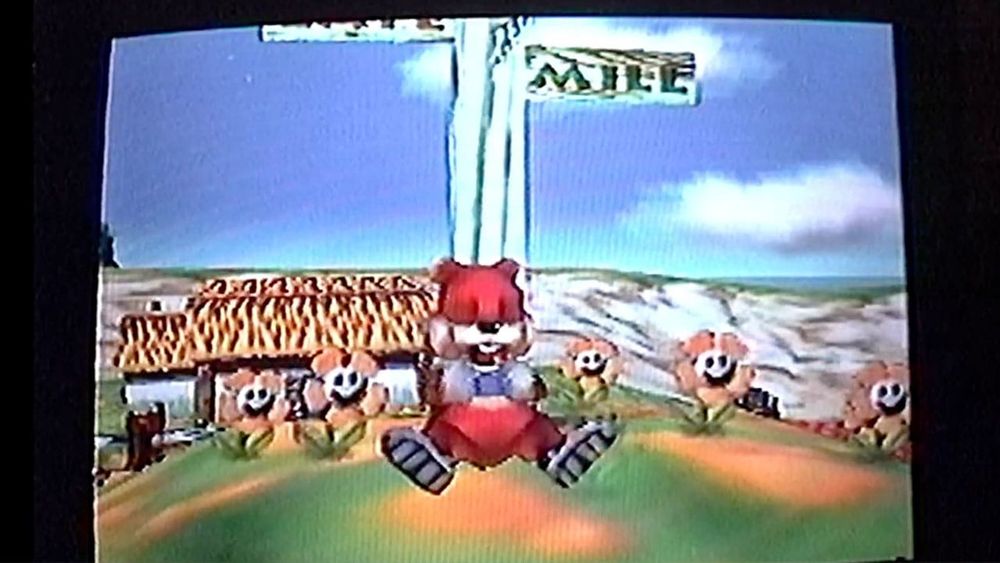 Conker sleeping by a sign