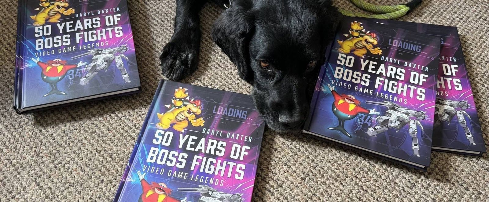 Daryl Baxter page cover image