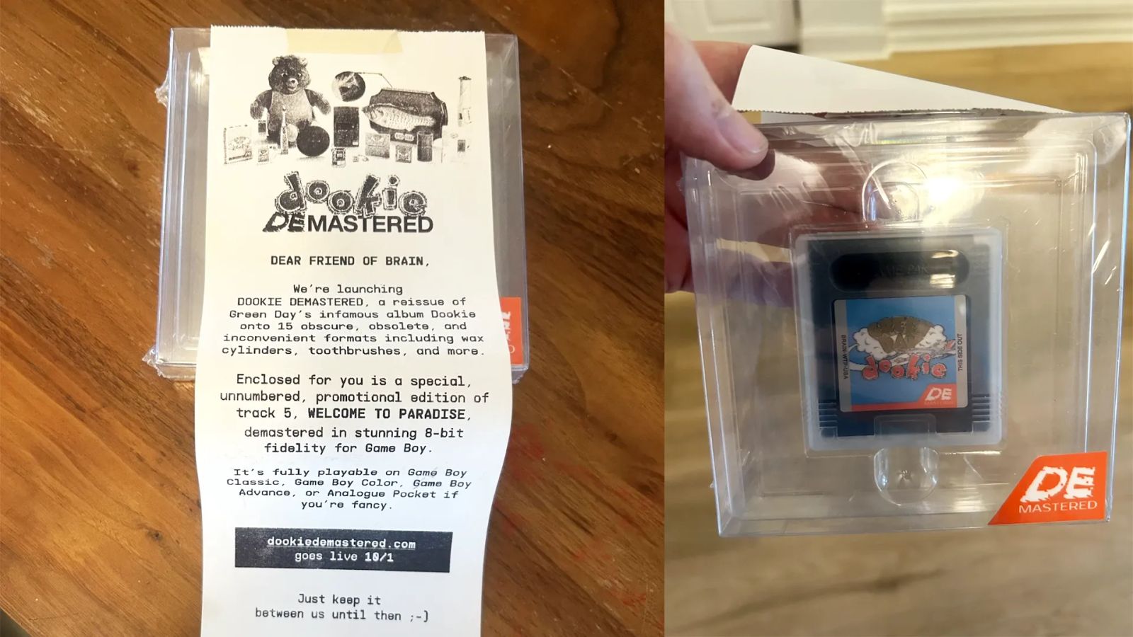Never Seen Before Green Day "Promo" GAME BOY Cartridge Is Up For Sale