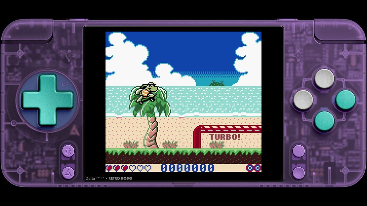 Skateland Adventures Gameplay with turtle