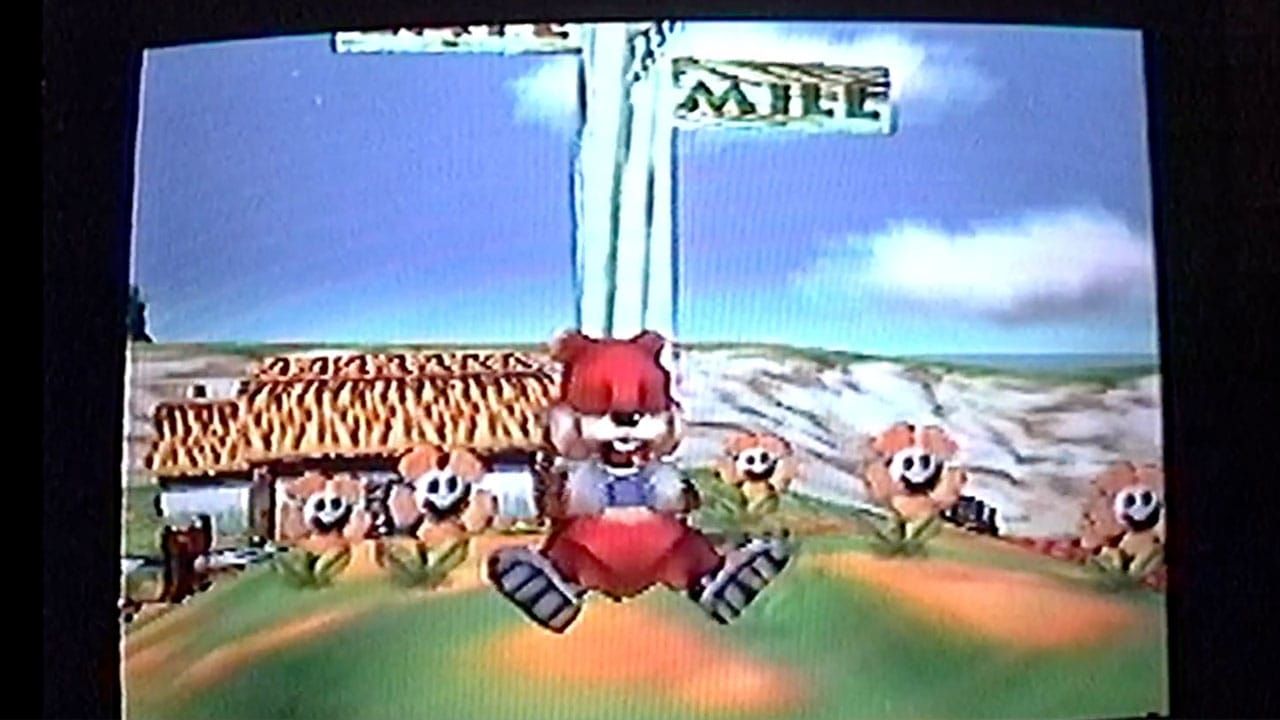 Conker sleeping by a sign