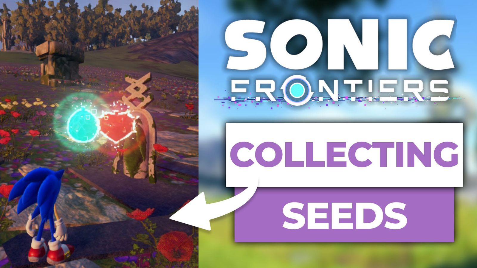How To Collect And Use Seeds In Sonic Frontiers