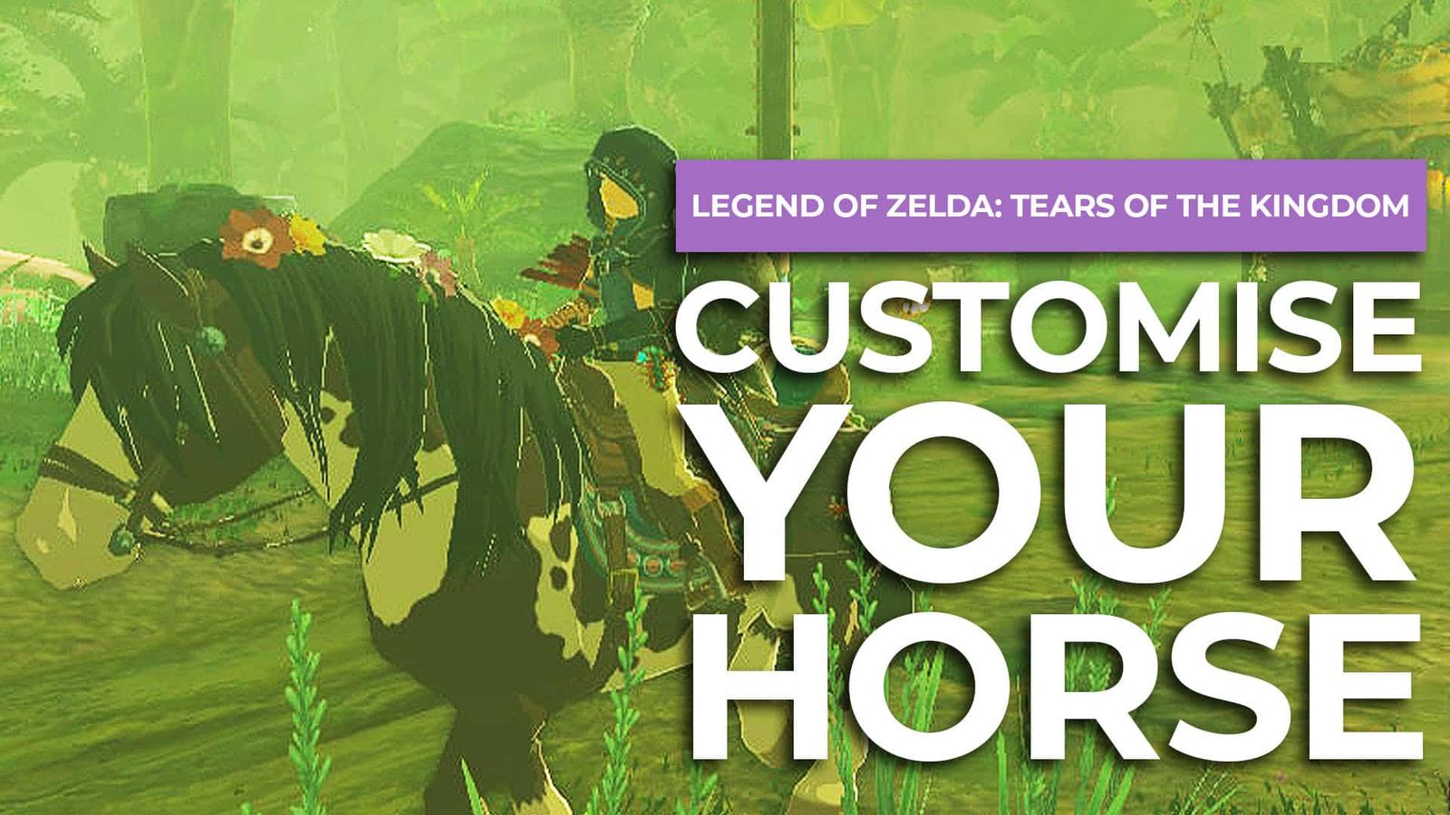 How To Customise Your Horse in Zelda Tears Of The Kingdom