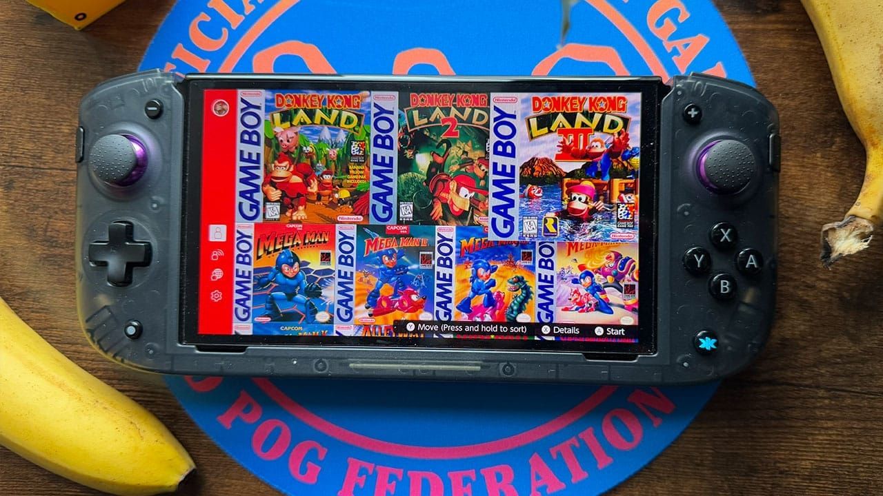 Donkey Kong Land 3 On Seb's Switch