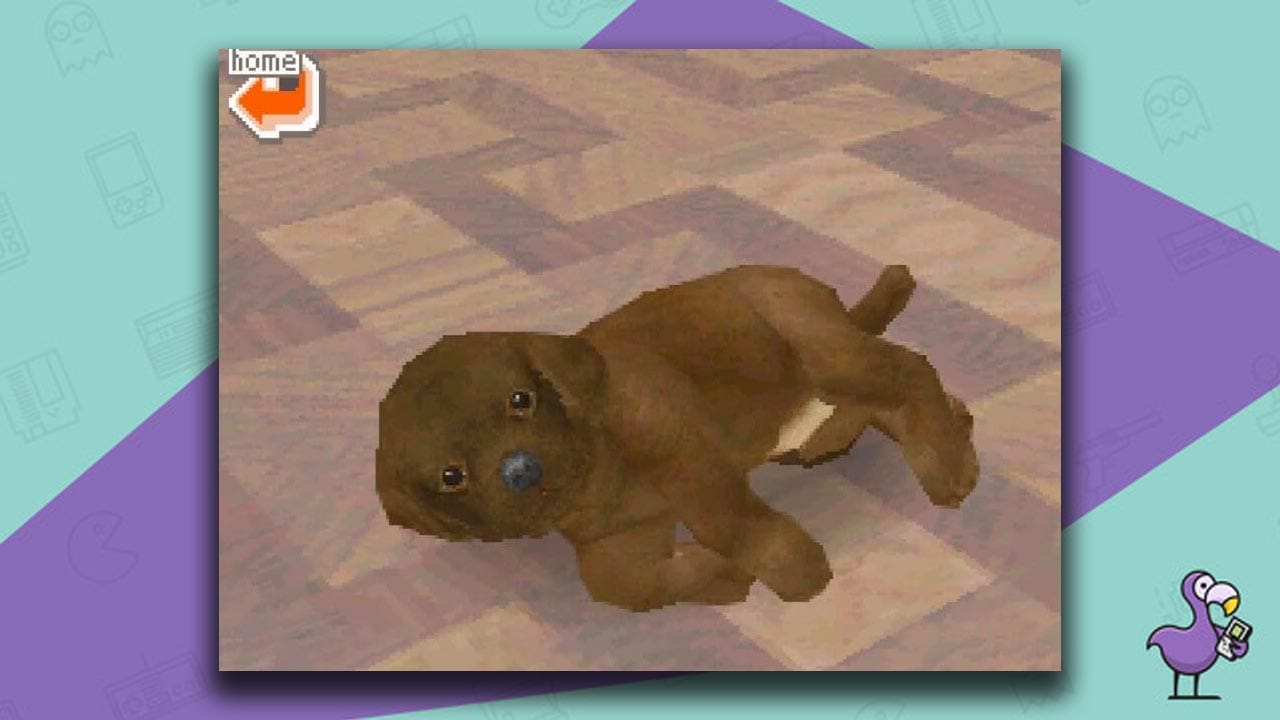 Nintendogs gameplay