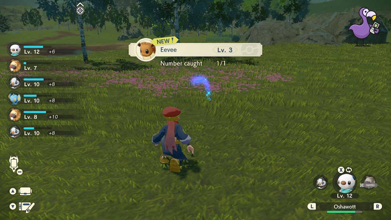how to catch eevee in pokemon legends arceus