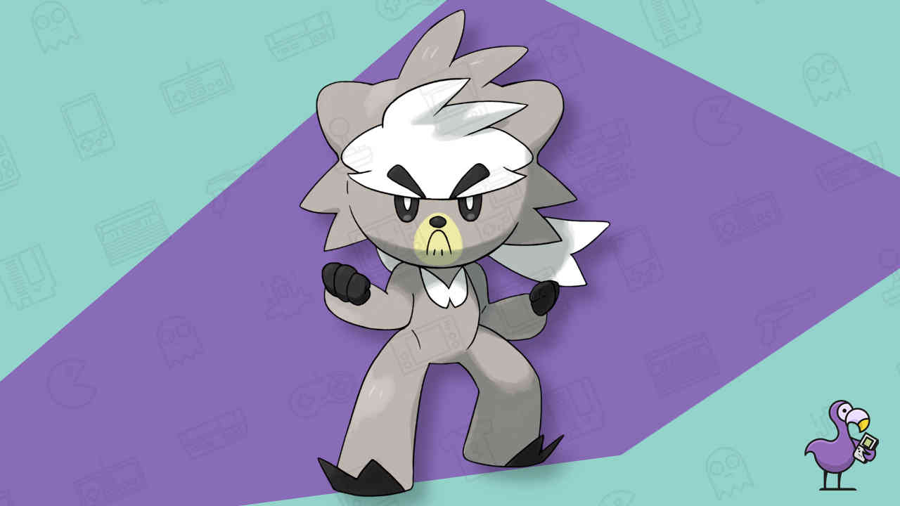 Kubfu - Best Bear Pokemon