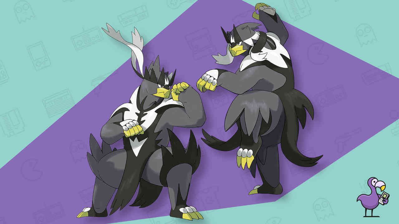 Urshifu - Best Bear Pokemon