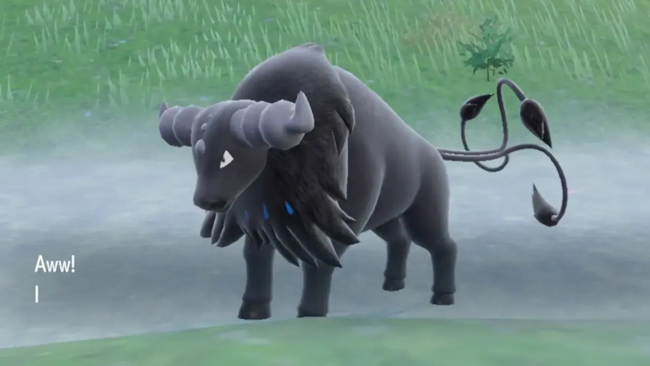 water tauros