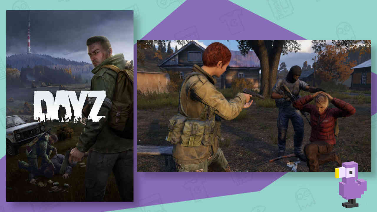 DayZ
