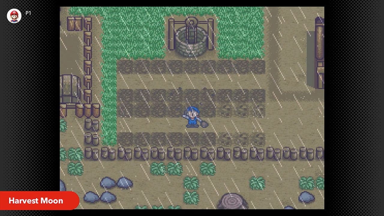 Harvest Moon