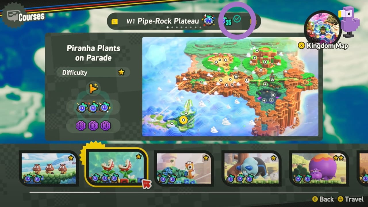 super mario bros wonder check mark world