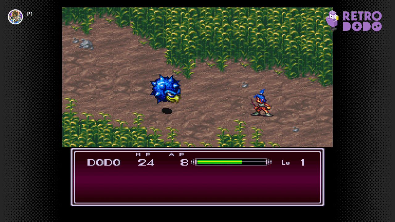 Breath Of Fire II gameplay