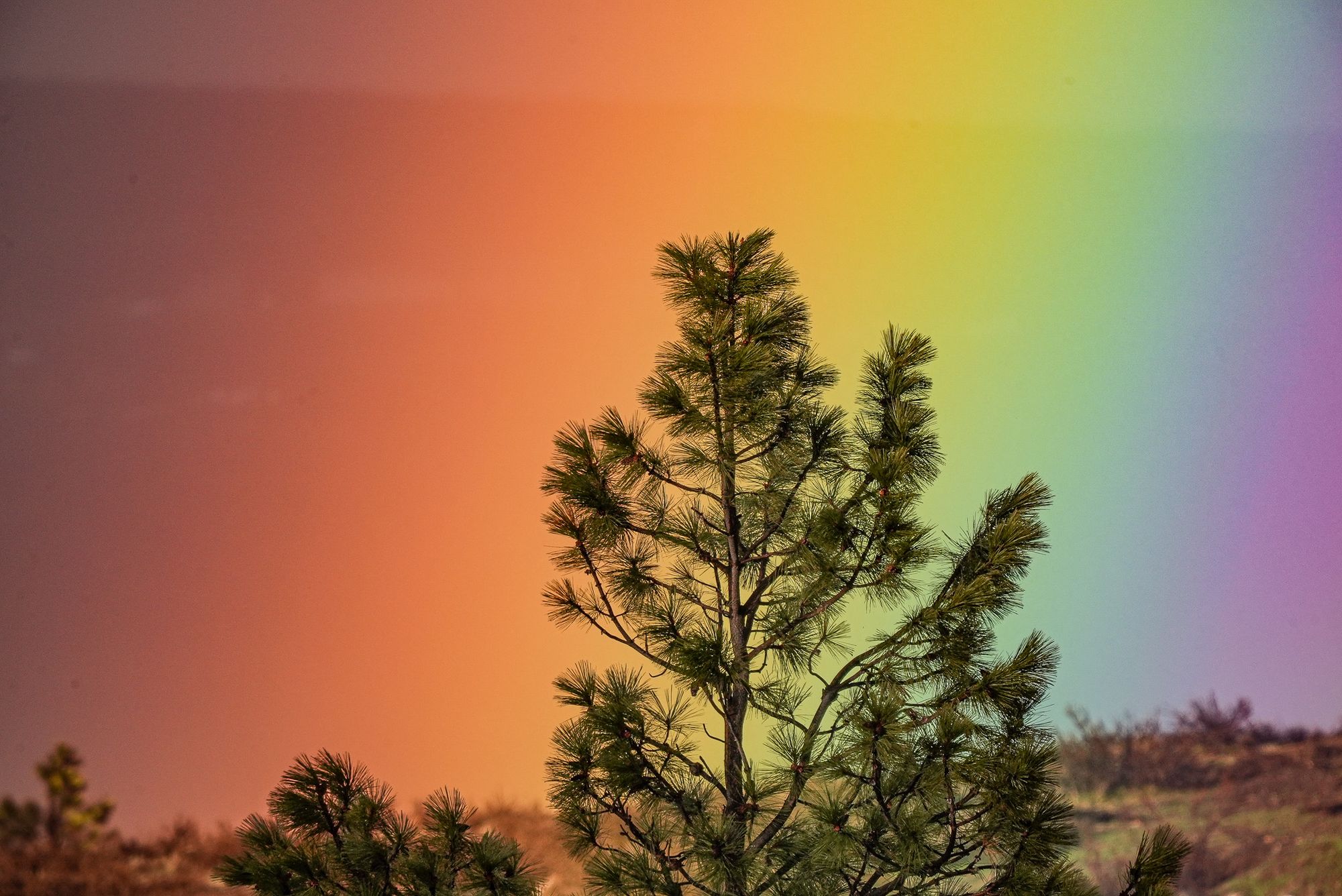 Rainbow close up