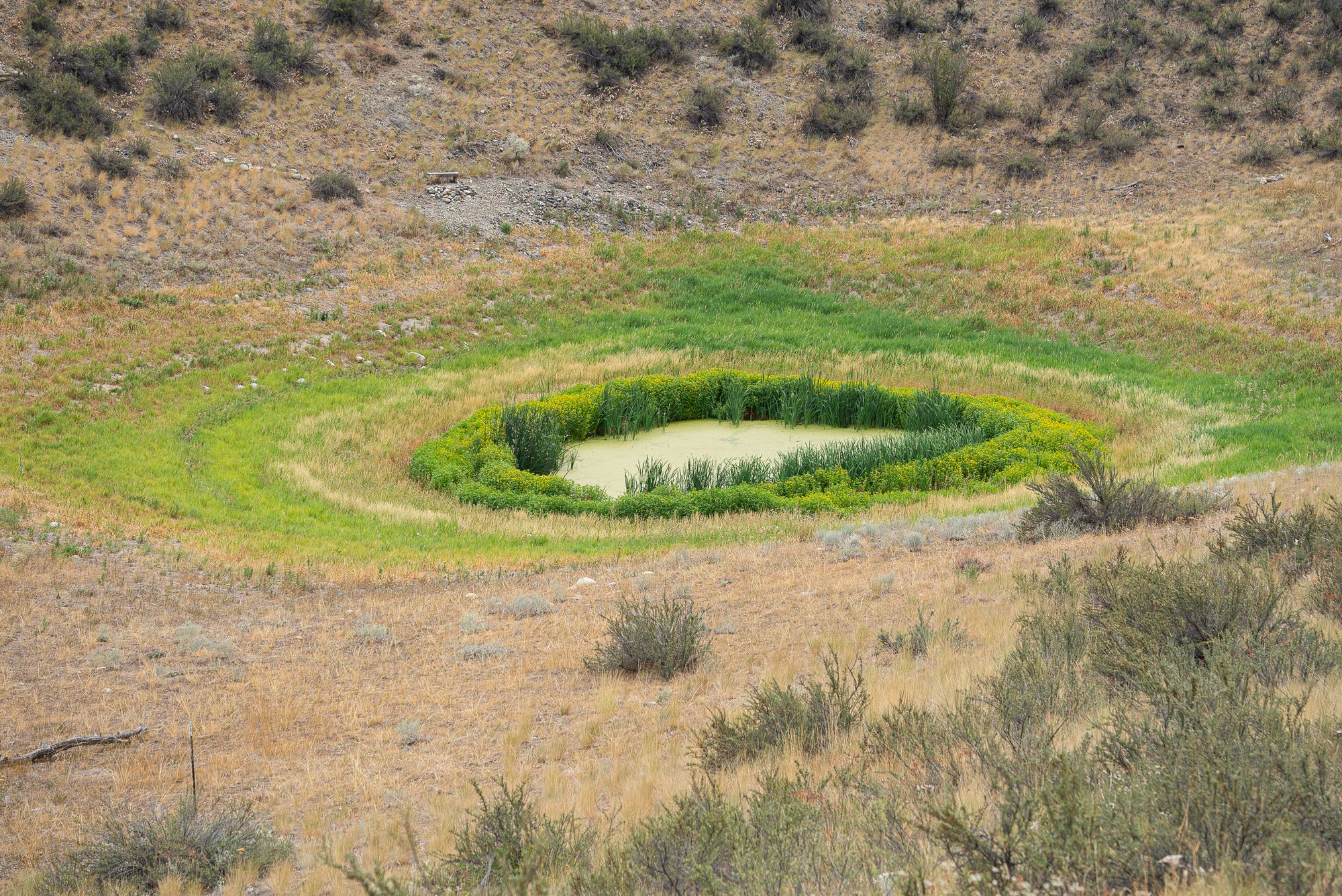 drying pond