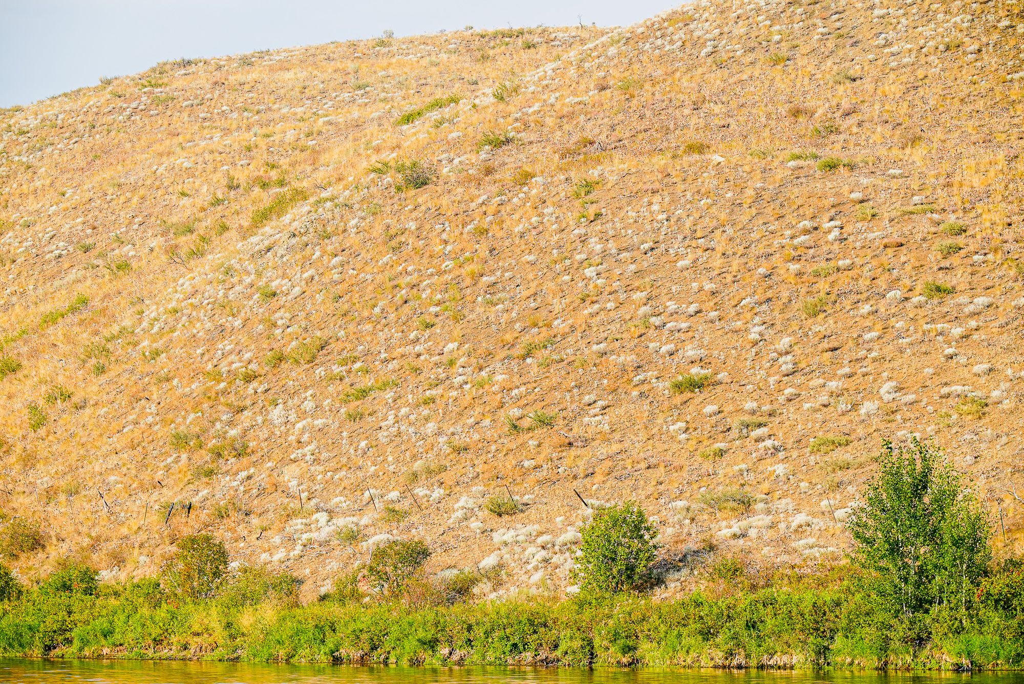 dry hillsides