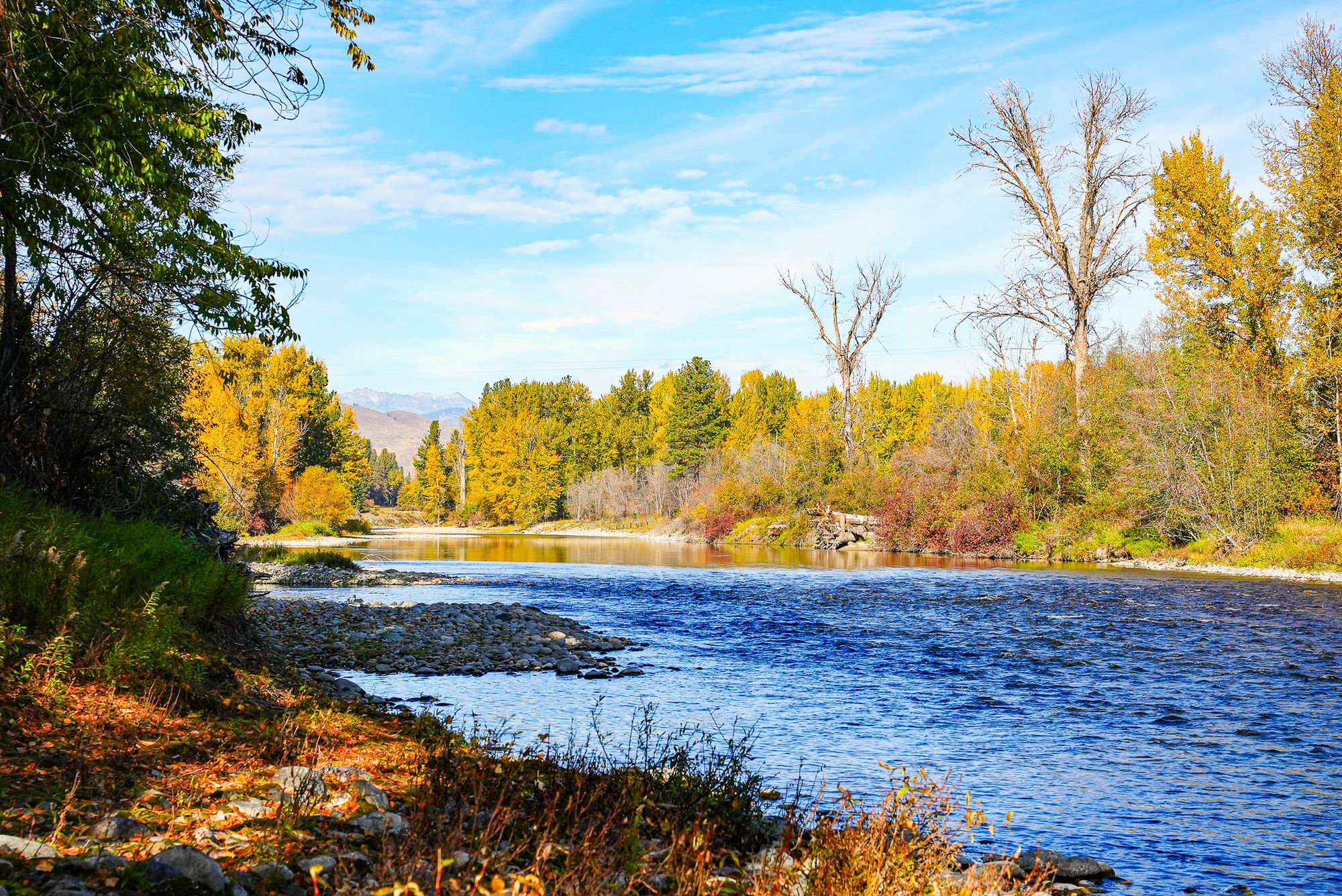 autumn along river