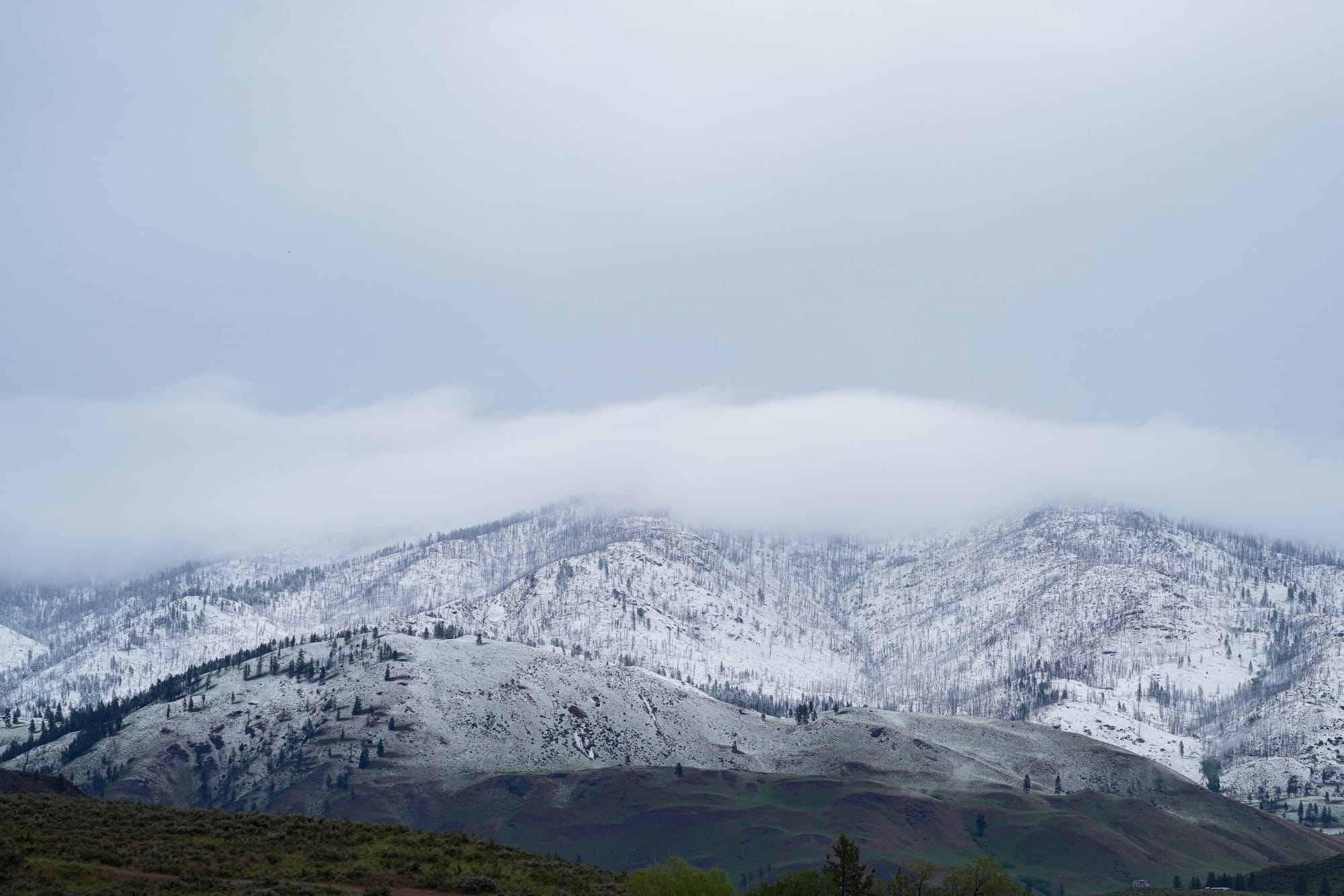 snow on hills