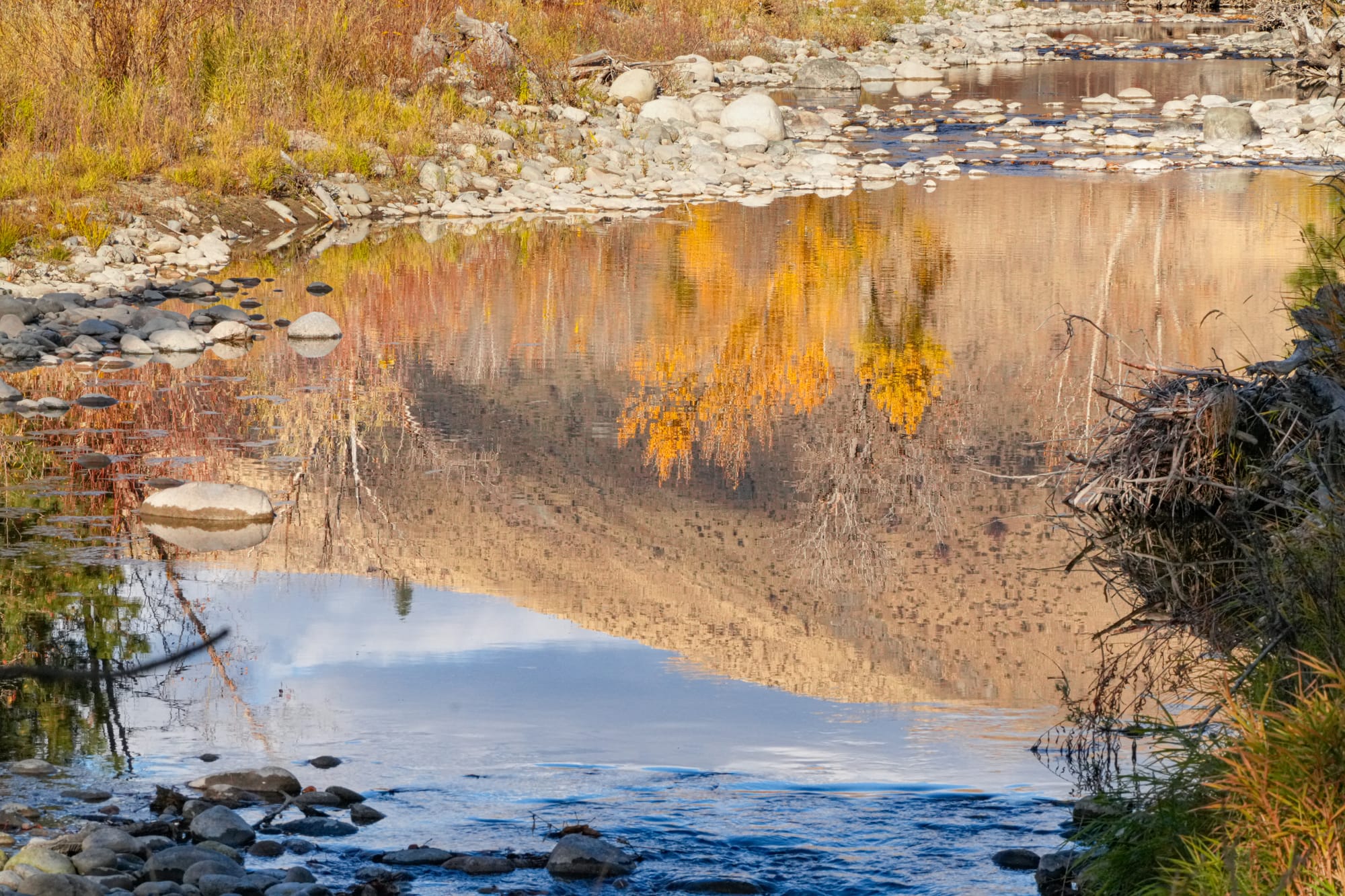 reflection on river