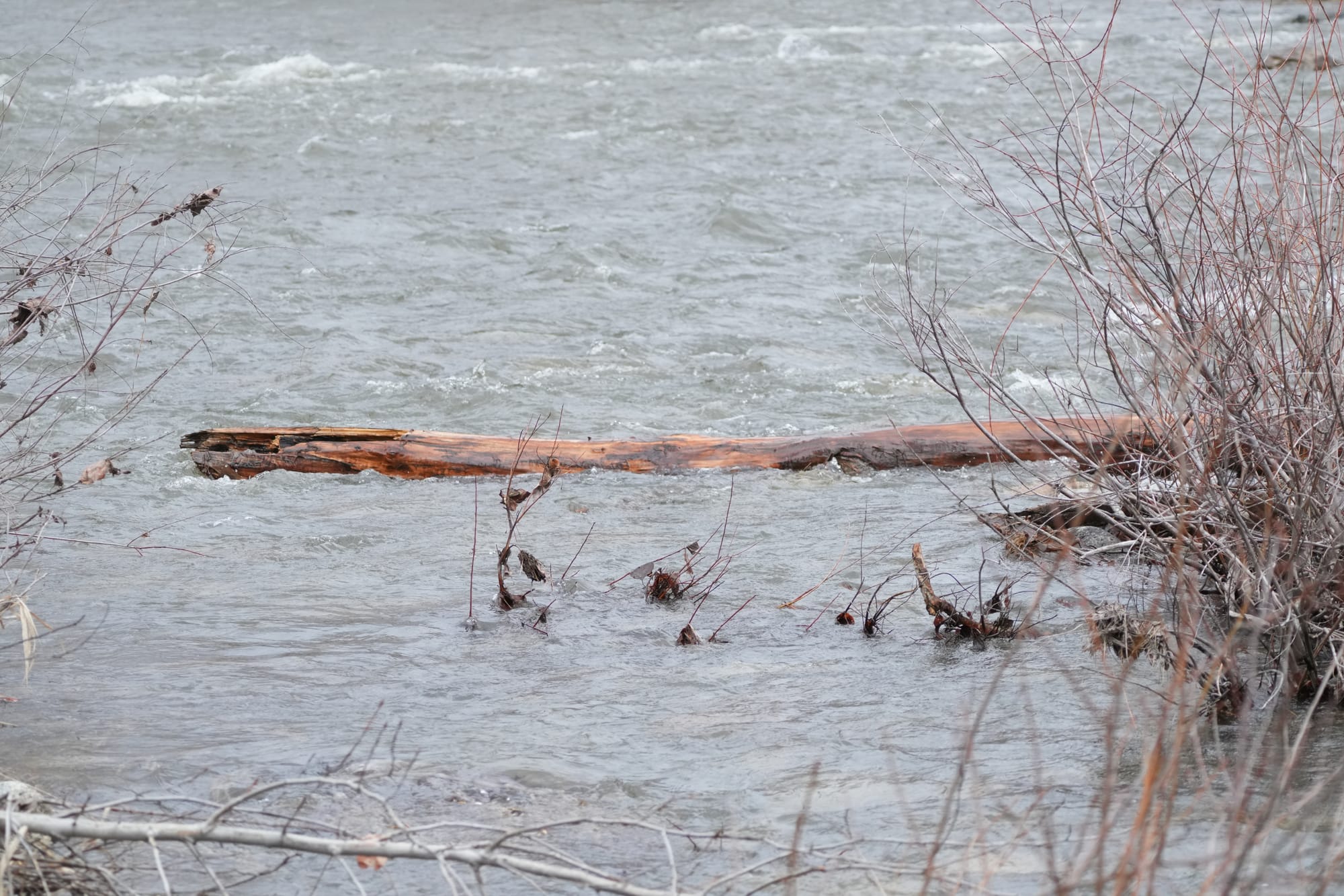 rising water on Twisp River