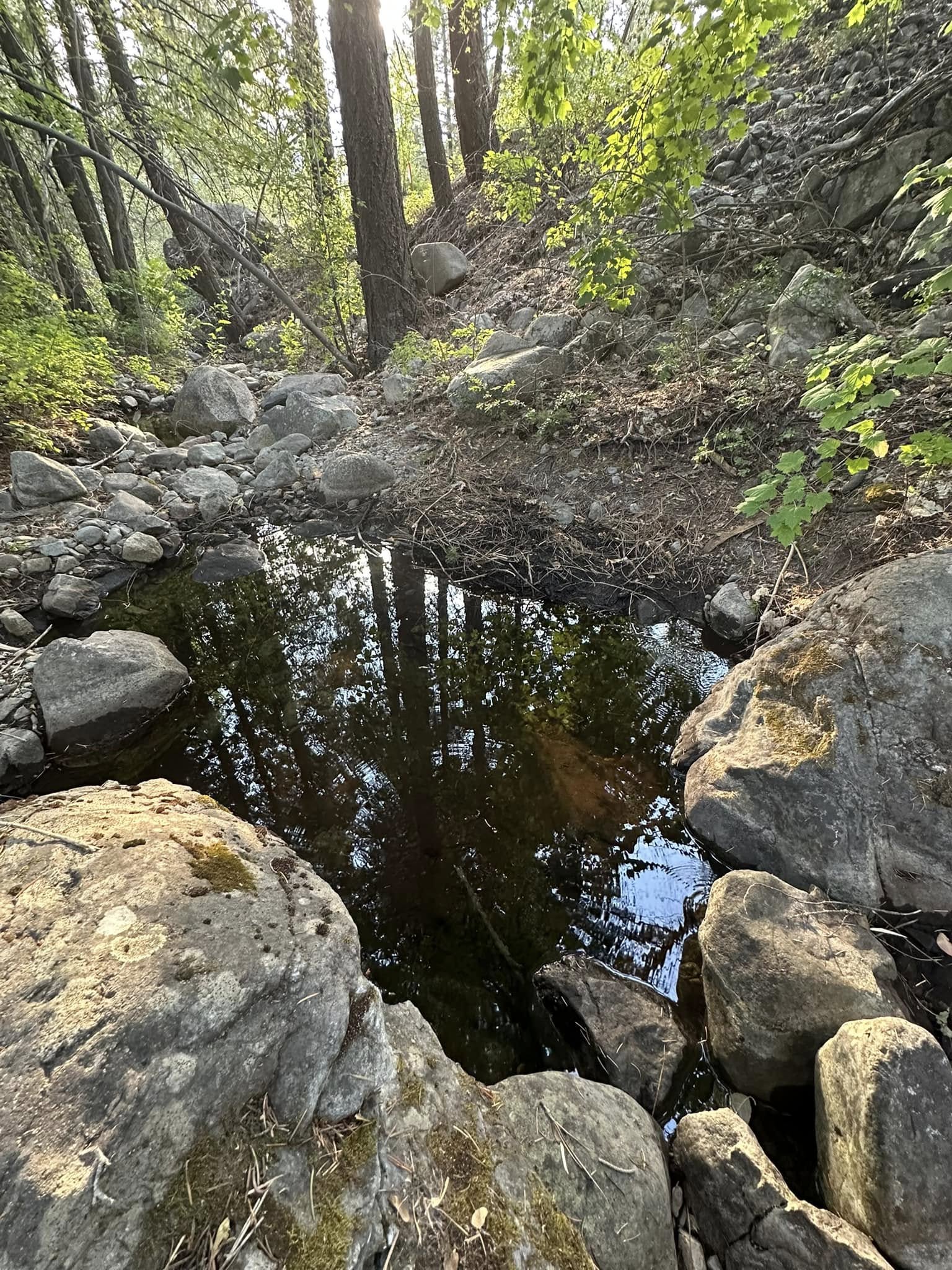 tiny creek